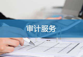 审计服务